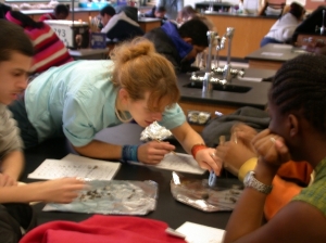 In this photo, four students are at a table investigating plant cells.